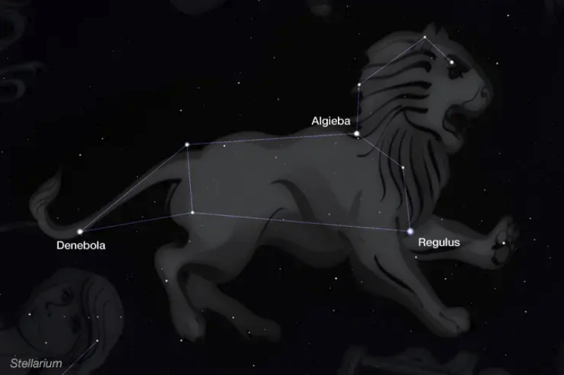 Meet the Constellation: Leo