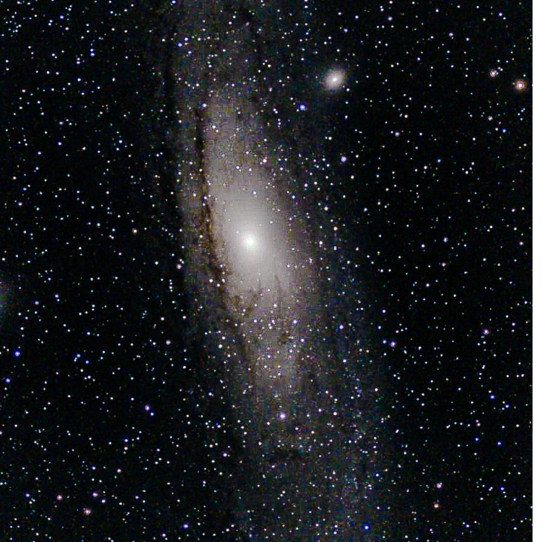 C 33