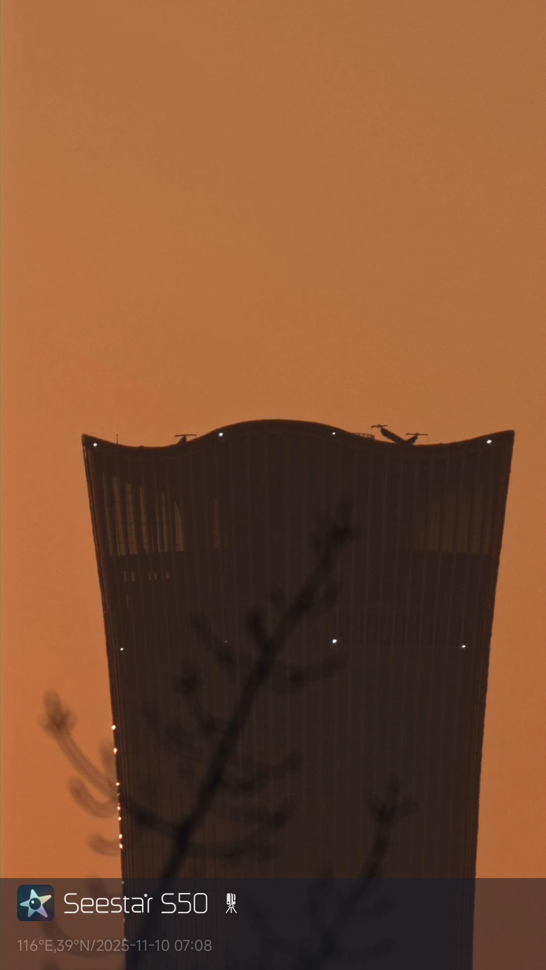 中国樽