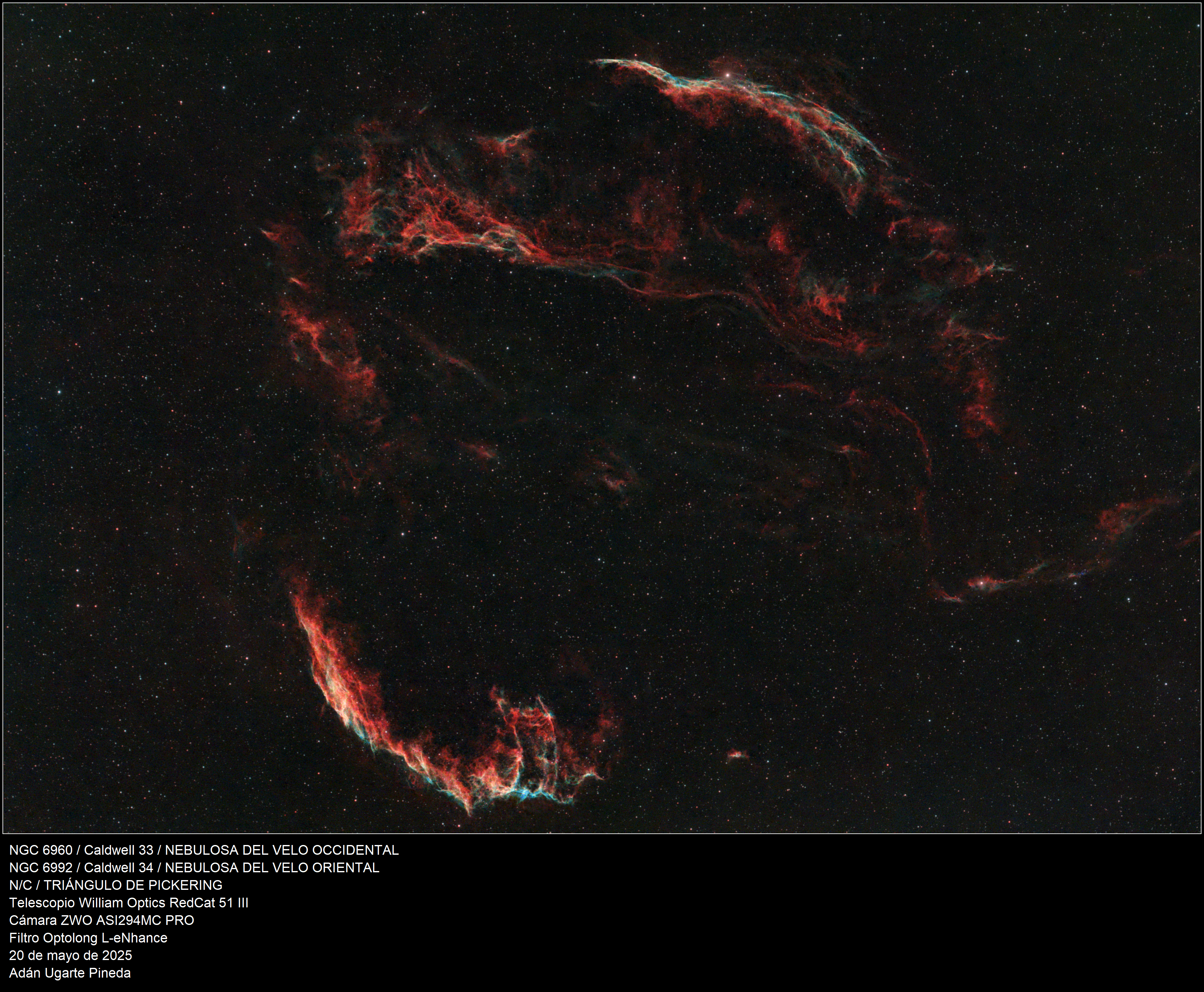 Cygnus Loop