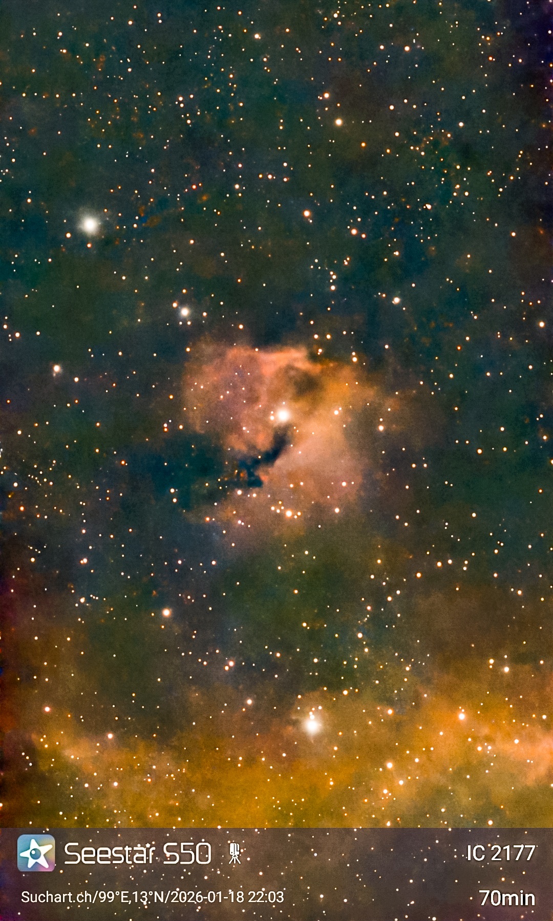 🕊️ IC 2177