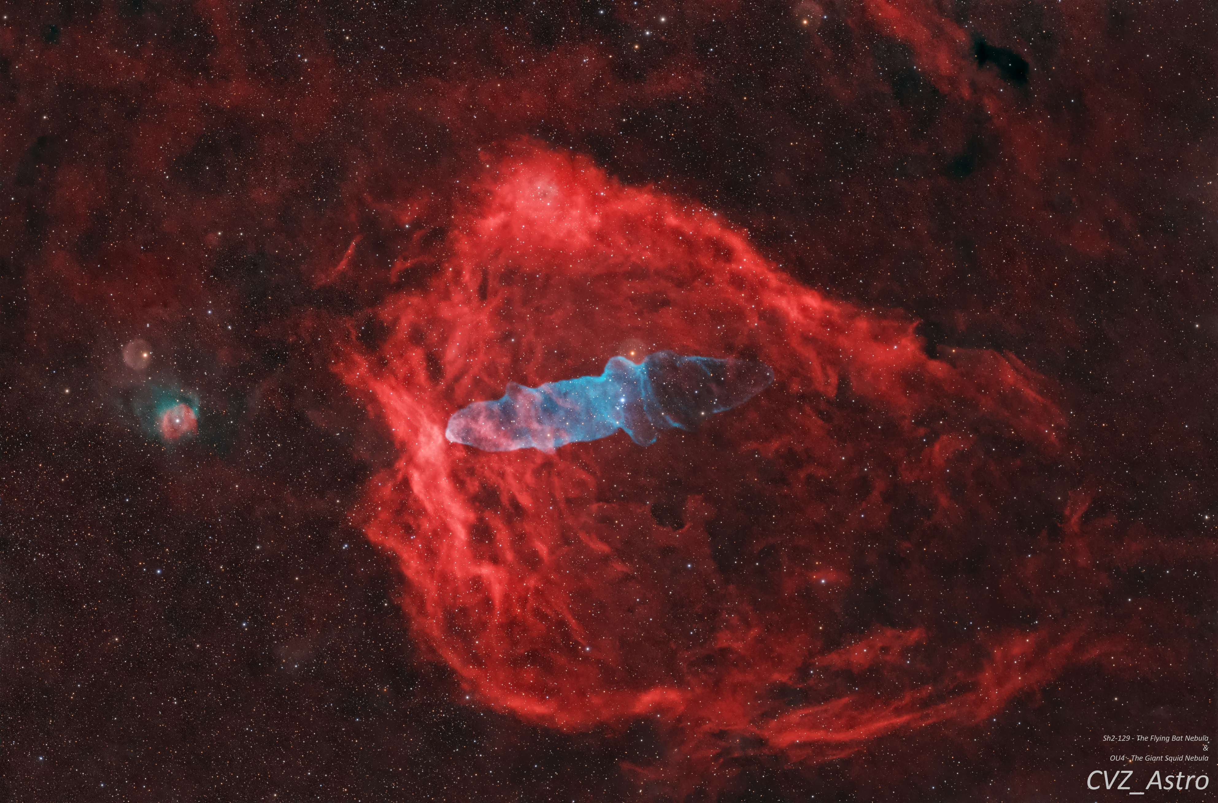 Sh2-129 & OU4 - The Flying Bat Nebula and The Giant Squid Nebula