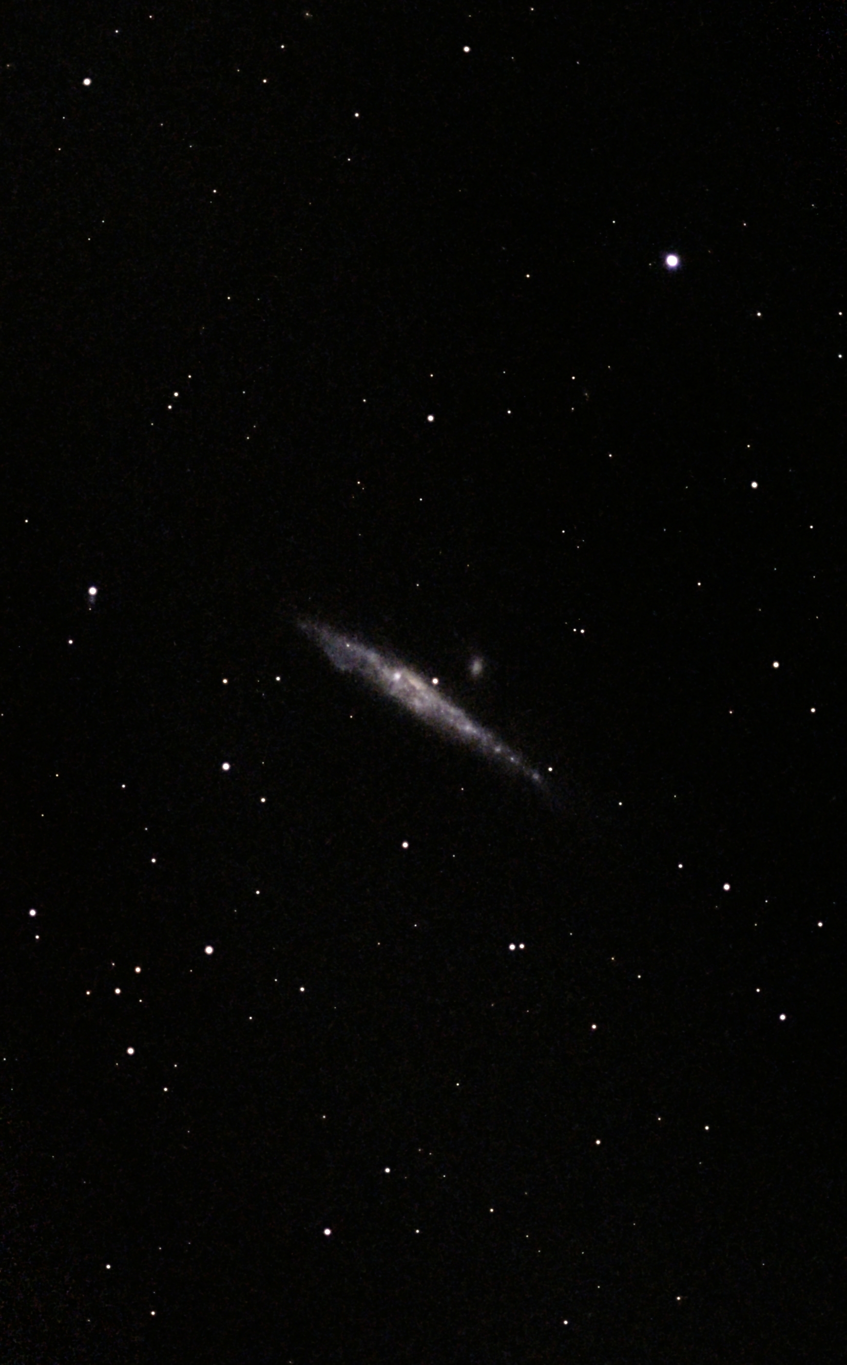 Galaxia de la Ballena NGC 4631