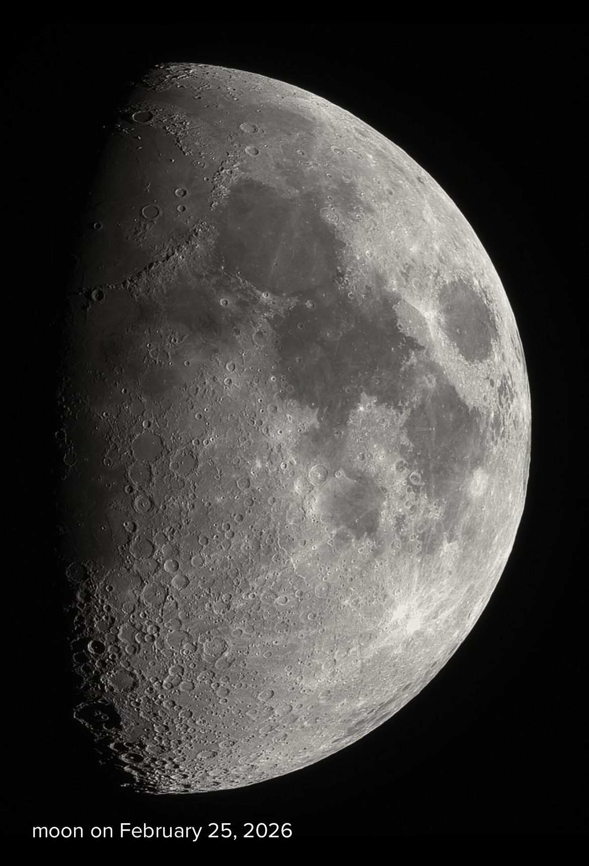 Moon 219 Moon