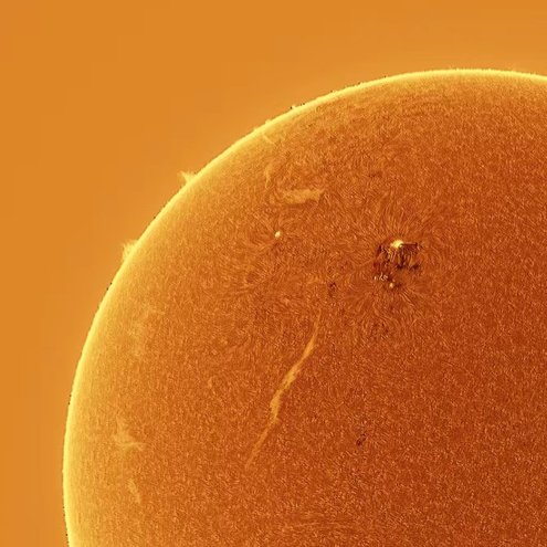 Sun Guardian